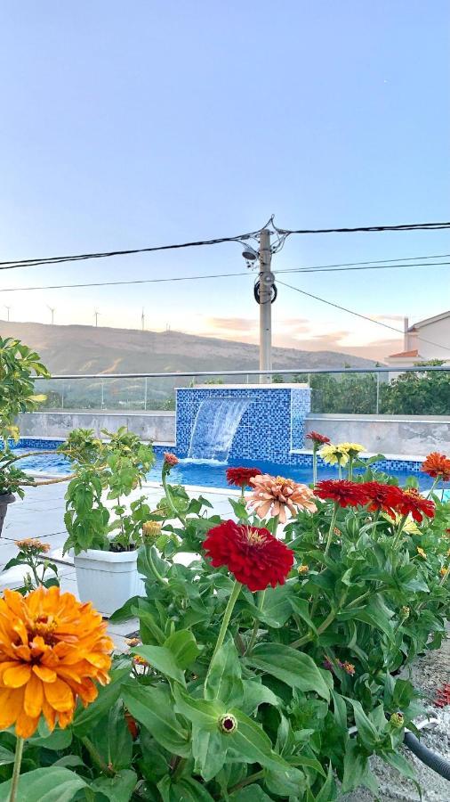 Apartments Hillside Ulcinj Bagian luar foto